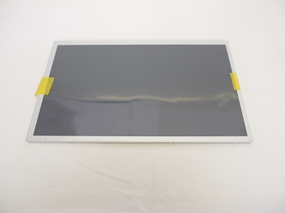 10.1" Matte LED LCD WSVGA 1024x600 HSD100IFW1 Screen Display
