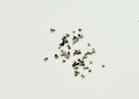 NEW Full Screw Screws Set for iPhone 5C A1532 A1456 A1507 A1526 A1529 A1516