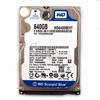 Hard Drive / SSD - Western Digital 640GB 2.5" Laptop SATA Hard Drive 